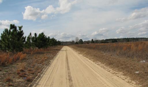 Photo #17 of Cannery Rd, Dalzell, SC 75.0 acres