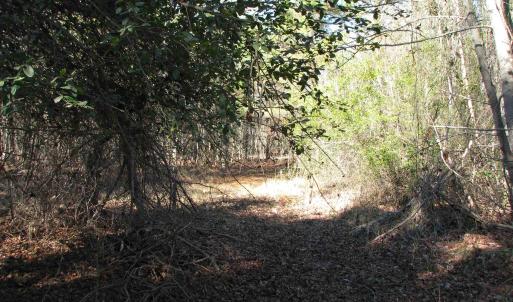 Photo #39 of Cannery Rd, Dalzell, SC 75.0 acres