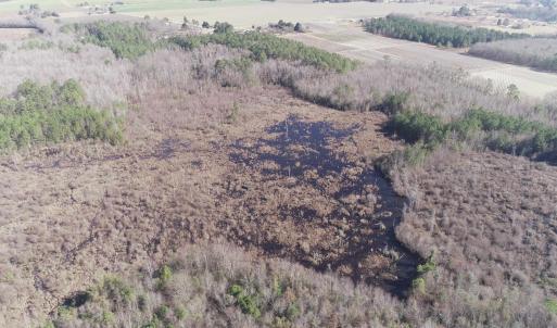 Photo #7 of Cannery Rd, Dalzell, SC 75.0 acres