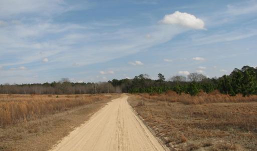 Photo #18 of Cannery Rd, Dalzell, SC 75.0 acres