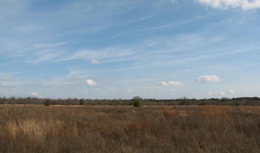 Photo #12 of Cannery Rd, Dalzell, SC 75.0 acres