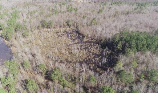 Photo #9 of Cannery Rd, Dalzell, SC 75.0 acres