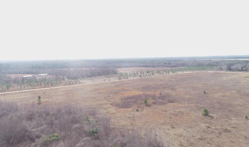 Photo #3 of Cannery Rd, Dalzell, SC 75.0 acres