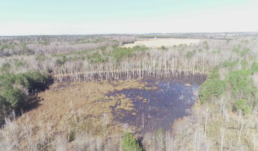 Photo #8 of Cannery Rd, Dalzell, SC 75.0 acres