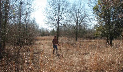 Photo #50 of Cannery Rd, Dalzell, SC 75.0 acres