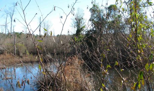 Photo #32 of Cannery Rd, Dalzell, SC 75.0 acres