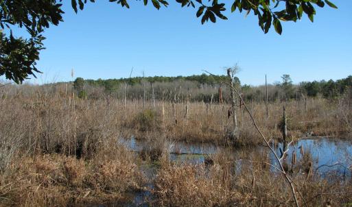 Photo #27 of Cannery Rd, Dalzell, SC 75.0 acres