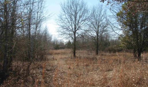 Photo #51 of Cannery Rd, Dalzell, SC 75.0 acres
