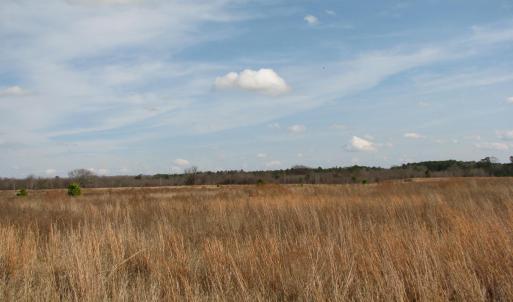 Photo #23 of Cannery Rd, Dalzell, SC 75.0 acres