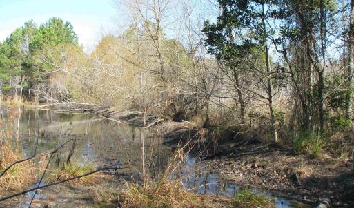 Photo #42 of Cannery Rd, Dalzell, SC 75.0 acres
