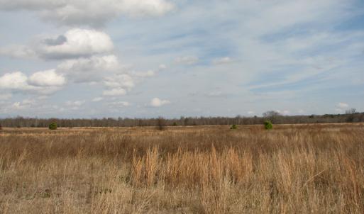 Photo #24 of Cannery Rd, Dalzell, SC 75.0 acres