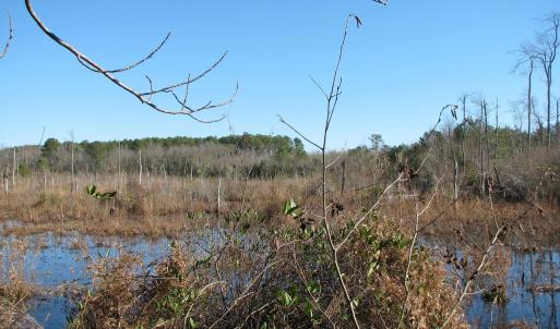 Photo #34 of Cannery Rd, Dalzell, SC 75.0 acres