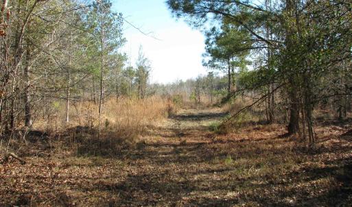 Photo #44 of Cannery Rd, Dalzell, SC 75.0 acres