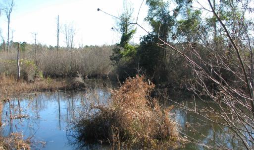 Photo #35 of Cannery Rd, Dalzell, SC 75.0 acres