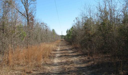 Photo #49 of Cannery Rd, Dalzell, SC 75.0 acres