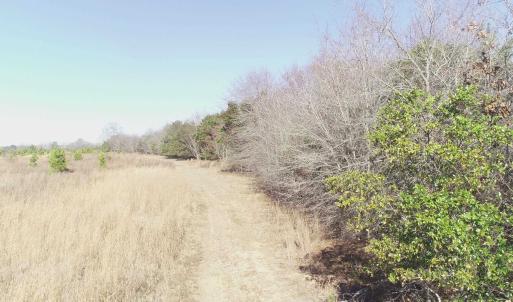 Photo #5 of Cannery Rd, Dalzell, SC 75.0 acres