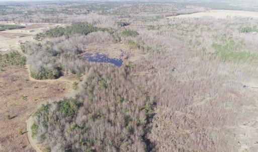 Photo #6 of Cannery Rd, Dalzell, SC 75.0 acres