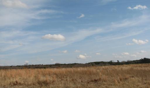 Photo #21 of Cannery Rd, Dalzell, SC 75.0 acres