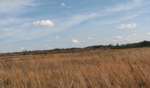 Photo #22 of Cannery Rd, Dalzell, SC 75.0 acres