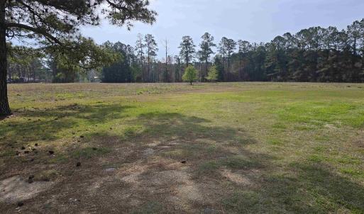 Photo #6 of 5272 Carriage Rd., Conway, SC 4.6 acres