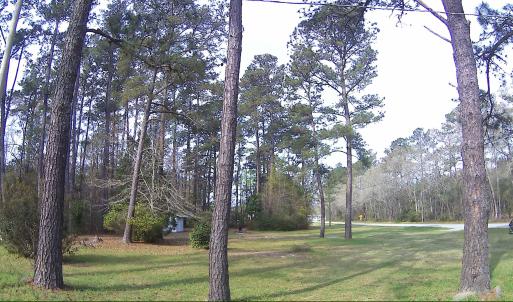 Photo #17 of 5272 Carriage Rd., Conway, SC 4.6 acres