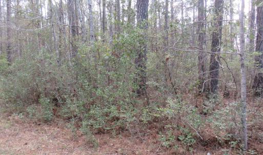 Photo #1 of T.B.D. Finnell Rd., Little River, SC 13.3 acres