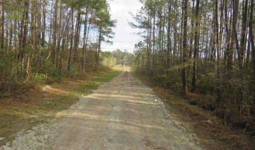 Photo #2 of T.B.D. Finnell Rd., Little River, SC 13.3 acres