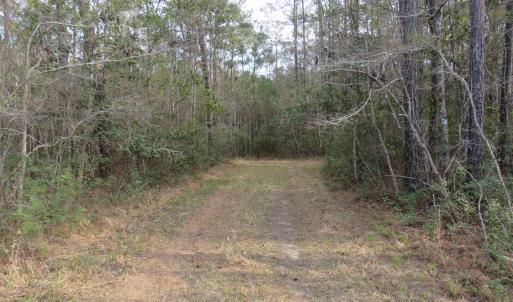 Photo #4 of T.B.D. Finnell Rd., Little River, SC 13.3 acres