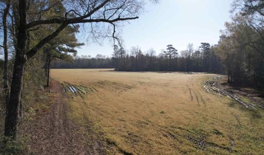 Photo #13 of TBD Green Rd., Lake City, SC 19.6 acres
