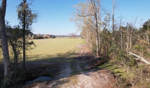 Photo #12 of TBD Green Rd., Lake City, SC 19.6 acres