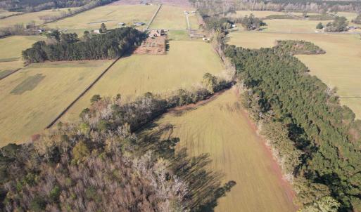 Photo #7 of TBD Green Rd., Lake City, SC 19.6 acres