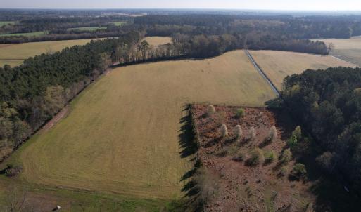 Photo #2 of TBD Green Rd., Lake City, SC 19.6 acres