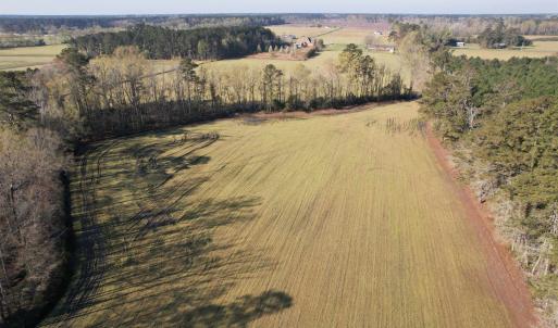 Photo #11 of TBD Green Rd., Lake City, SC 19.6 acres