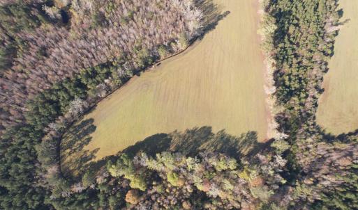 Photo #6 of TBD Green Rd., Lake City, SC 19.6 acres