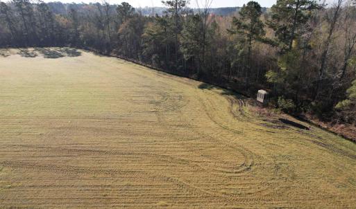 Photo #8 of TBD Green Rd., Lake City, SC 19.6 acres