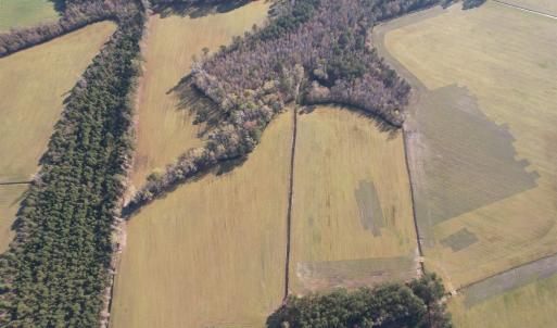 Photo #4 of TBD Green Rd., Lake City, SC 19.6 acres