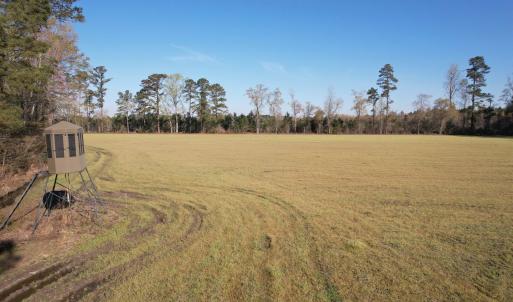 Photo #9 of TBD Green Rd., Lake City, SC 19.6 acres