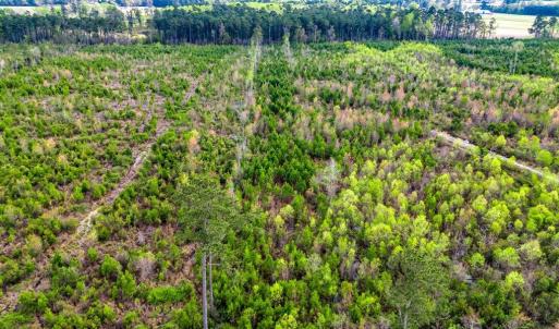 Photo #5 of TBD Jordan Rd., Galivants Ferry, SC 6.1 acres