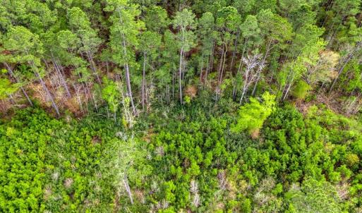 Photo #9 of TBD Jordan Rd., Galivants Ferry, SC 6.1 acres