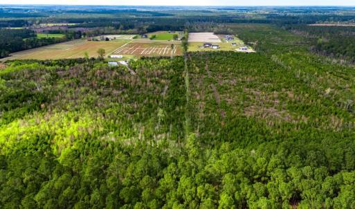 Photo #10 of TBD Jordan Rd., Galivants Ferry, SC 6.1 acres