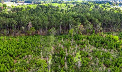 Photo #8 of TBD Jordan Rd., Galivants Ferry, SC 6.1 acres