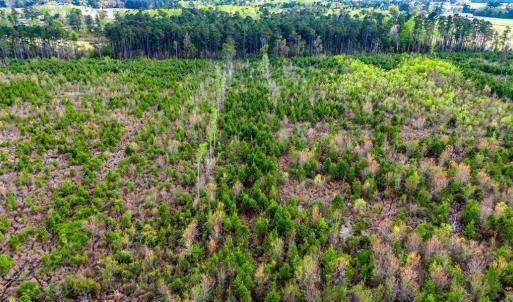 Photo #6 of TBD Jordan Rd., Galivants Ferry, SC 6.1 acres
