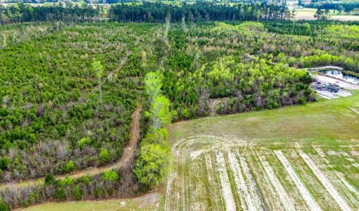 Photo #4 of TBD Jordan Rd., Galivants Ferry, SC 6.1 acres