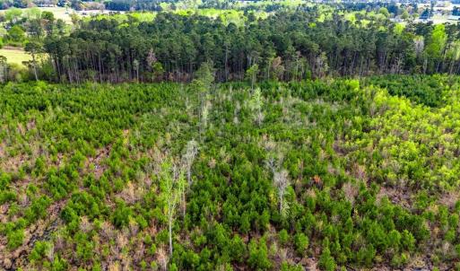 Photo #7 of TBD Jordan Rd., Galivants Ferry, SC 6.1 acres