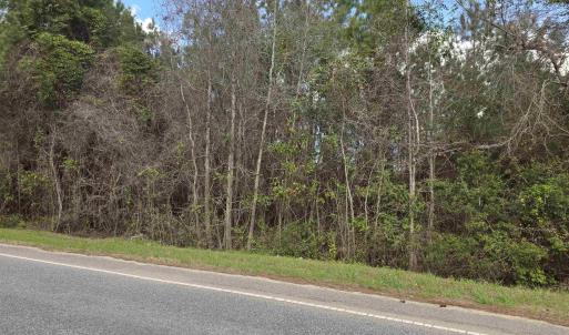 Photo #1 of Old Reaves Ferry Rd., Conway, SC 52.3 acres