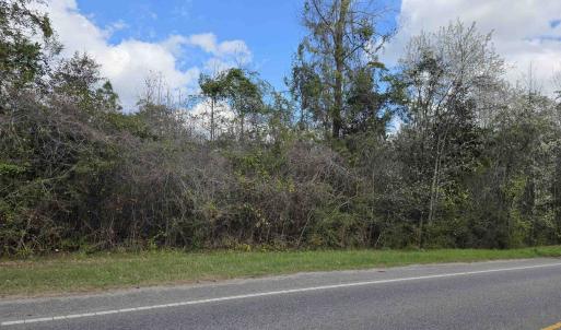 Photo #2 of Old Reaves Ferry Rd., Conway, SC 52.3 acres