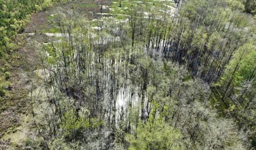 Photo #10 of Rocky Ford Rd., Salters, SC 182.0 acres