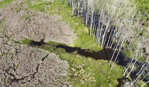 Photo #11 of Rocky Ford Rd., Salters, SC 182.0 acres