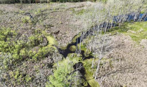 Photo #14 of Rocky Ford Rd., Salters, SC 182.0 acres