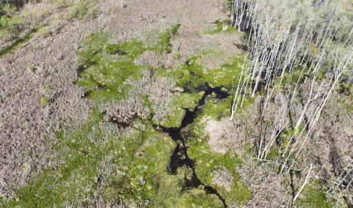 Photo #12 of Rocky Ford Rd., Salters, SC 182.0 acres